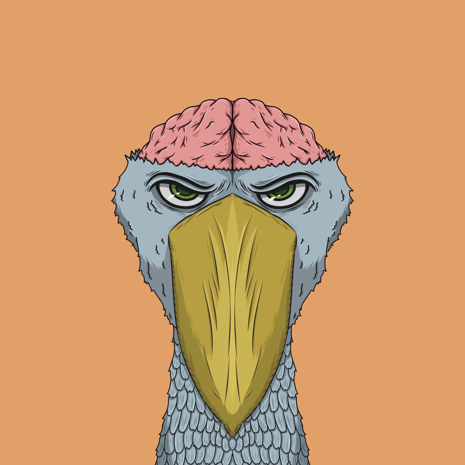 MUKIDASHI | 『Shoebill』