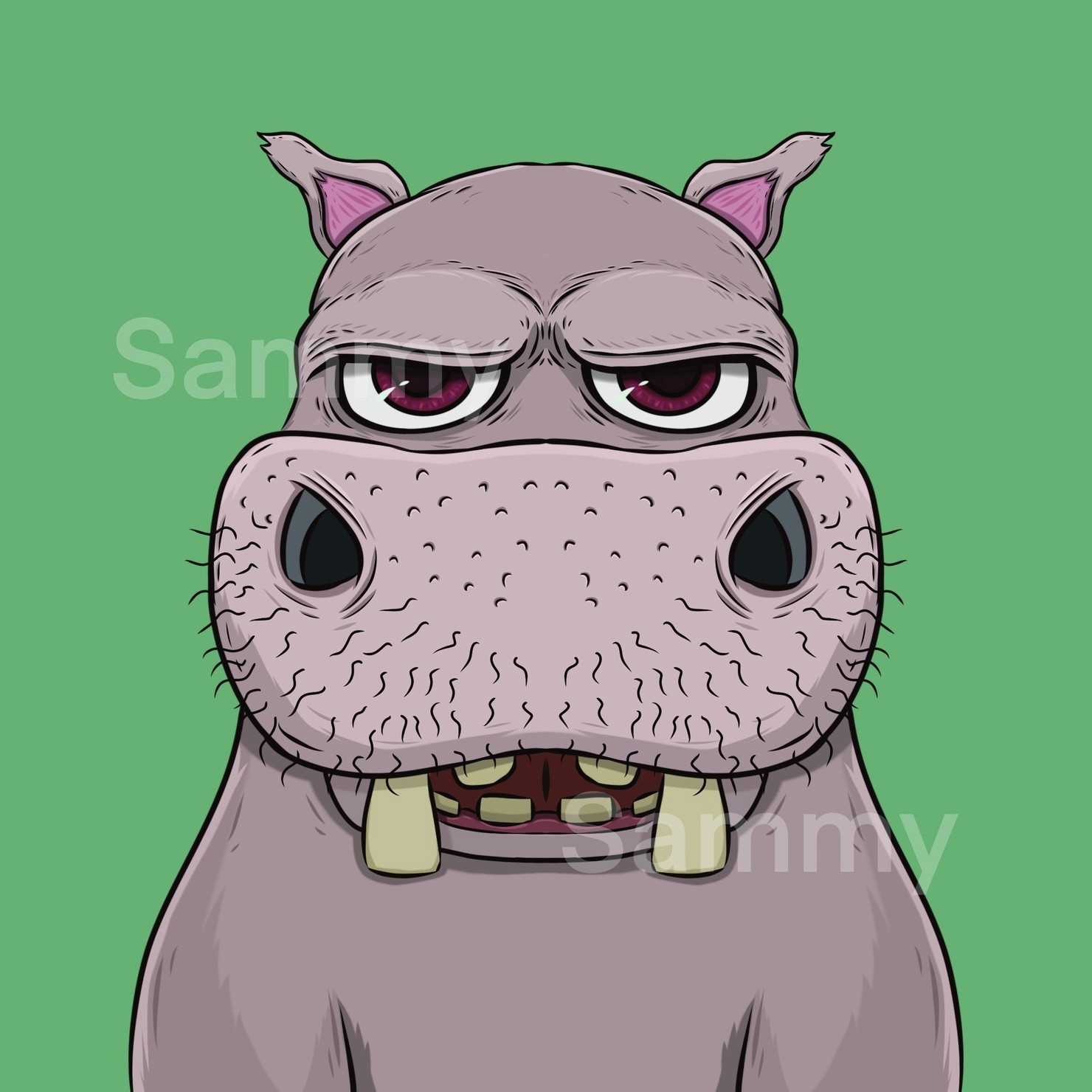 MUKIDASAZOO | Hippopotamus #1/11