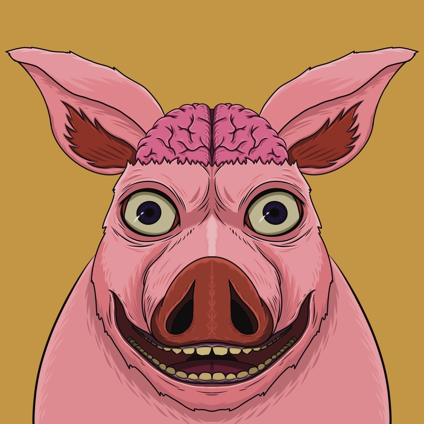 MUKIDASHI | 『Pig』