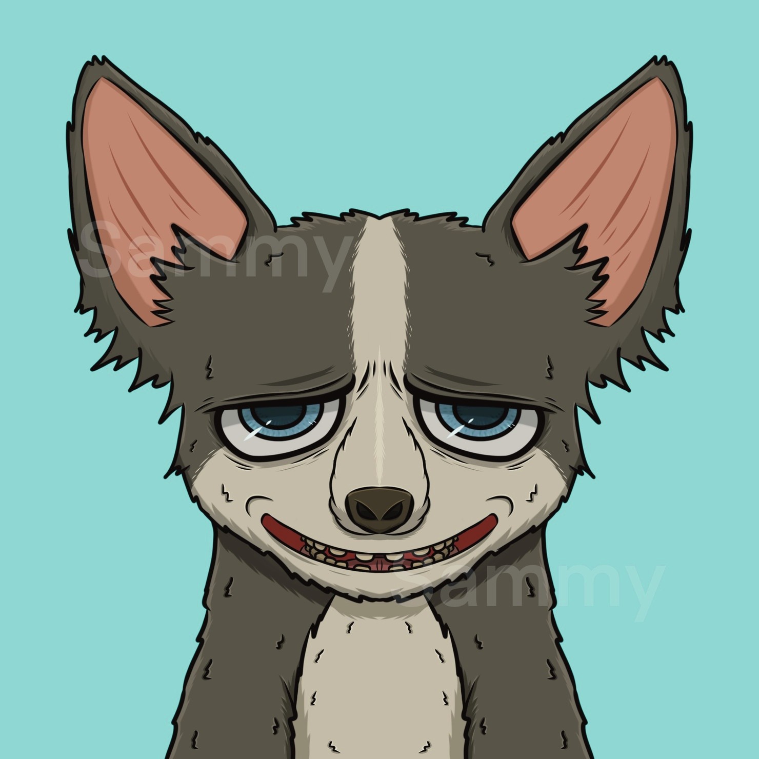 MUKIDASAZOO | Chihuahua #2/3