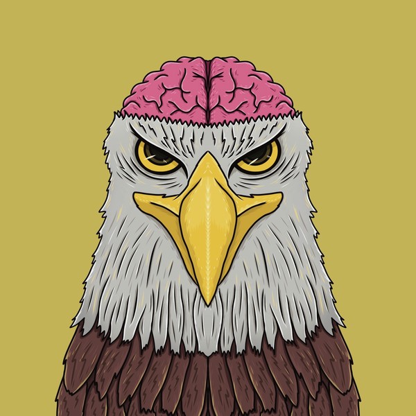 MUKIDASHI | Bald Eagle