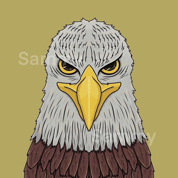 MUKIDASAZOO | Bald Eagle #1/3