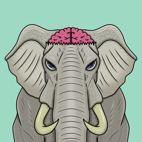 MUKIDASHI | Elephant