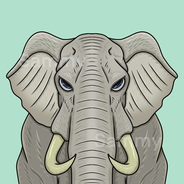 MUKIDASAZOO | Elephant #2/3