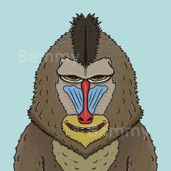 MUKIDASAZOO | Mandrill #1/3