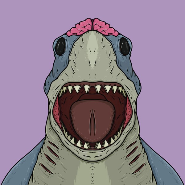 MUKIDASHI | Great white shark