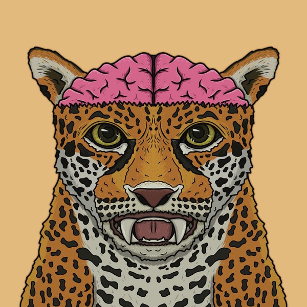 MUKIDASHI | Jaguar