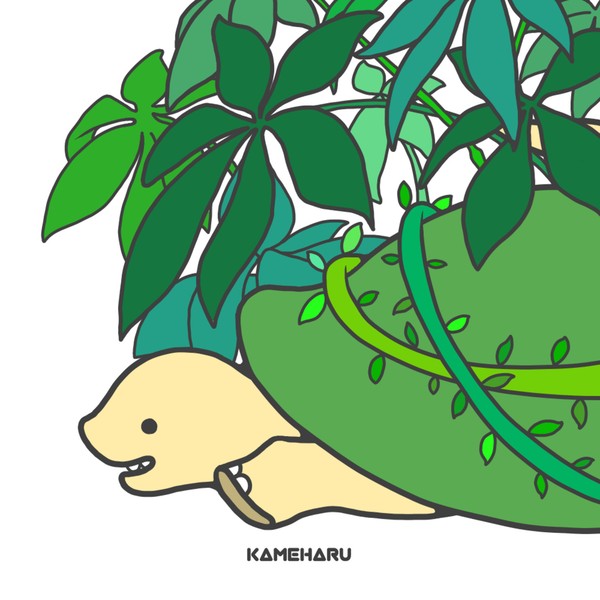 【ゆるのぺぺ】 ＃041 KAMEHARU #2/5