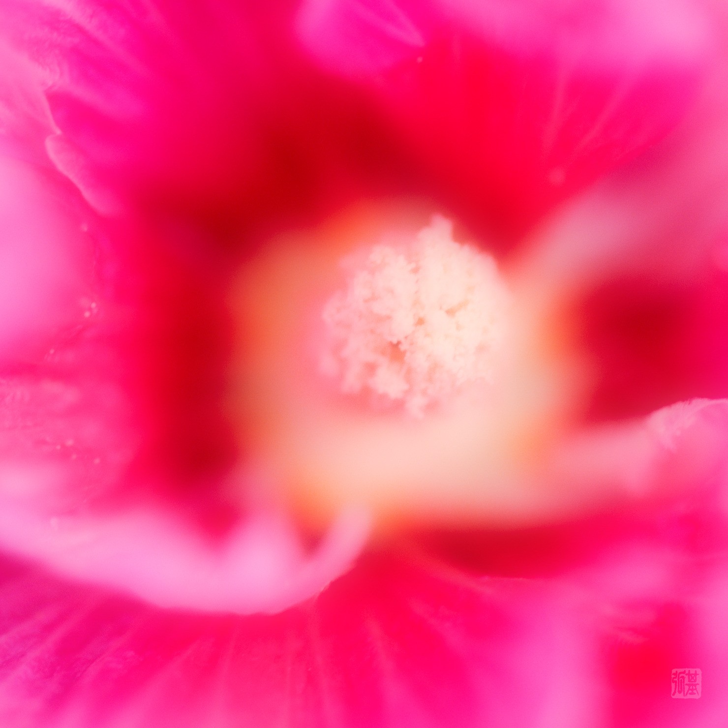 fleur_m028 -PFP- #3/30