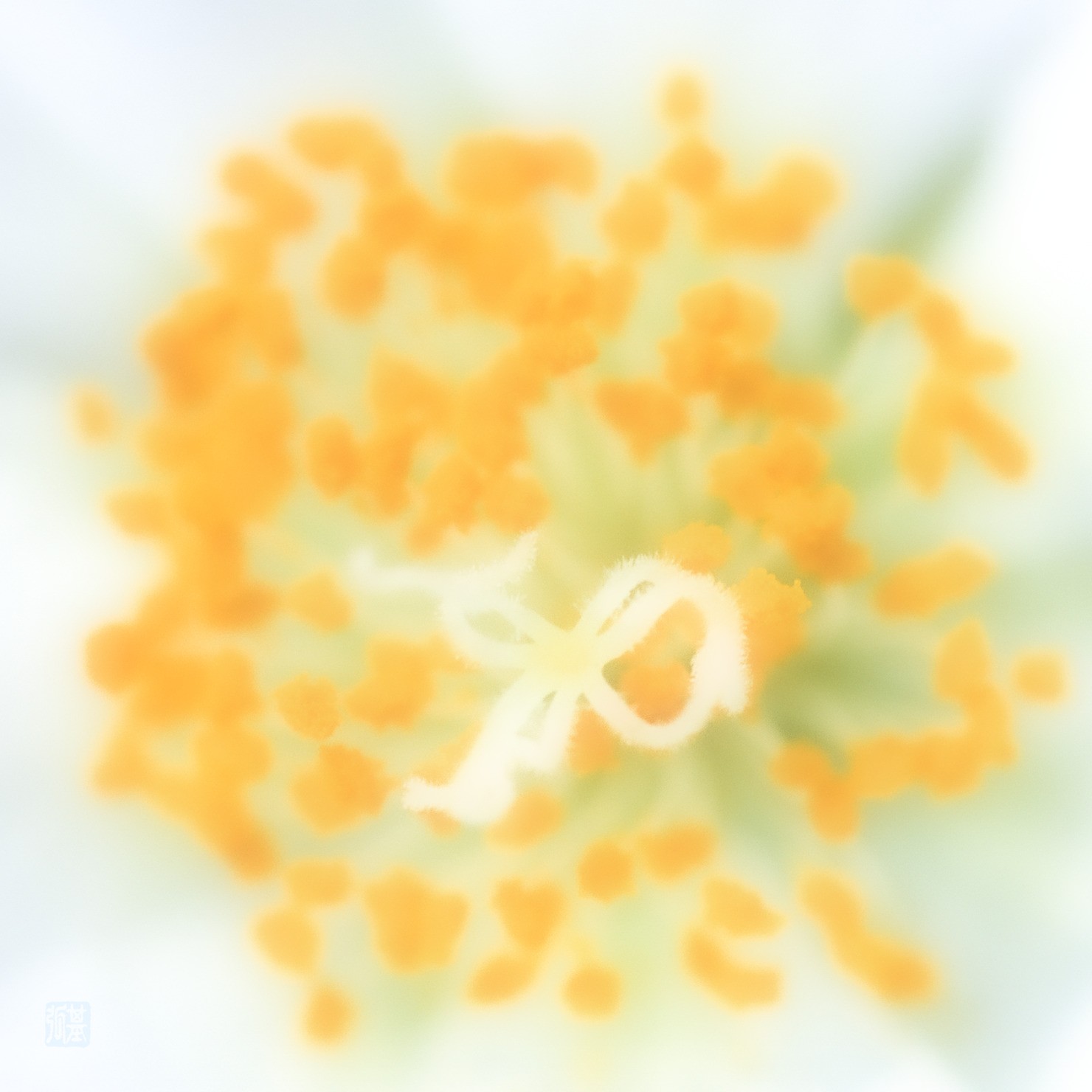 fleur_m008 -PFP- #3/30