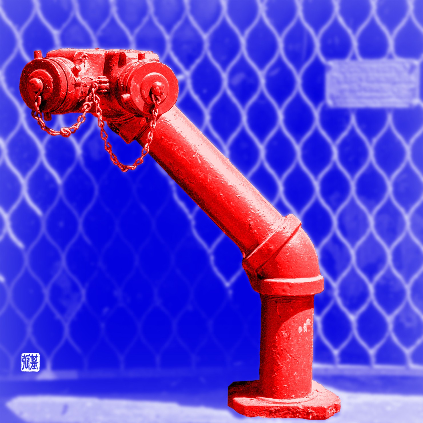 " What? " No.15 /50  - in NewYork -