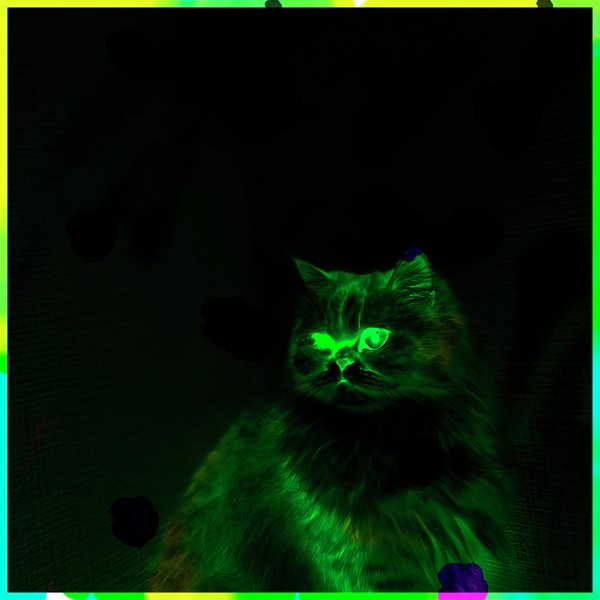 neon CAT #1/3