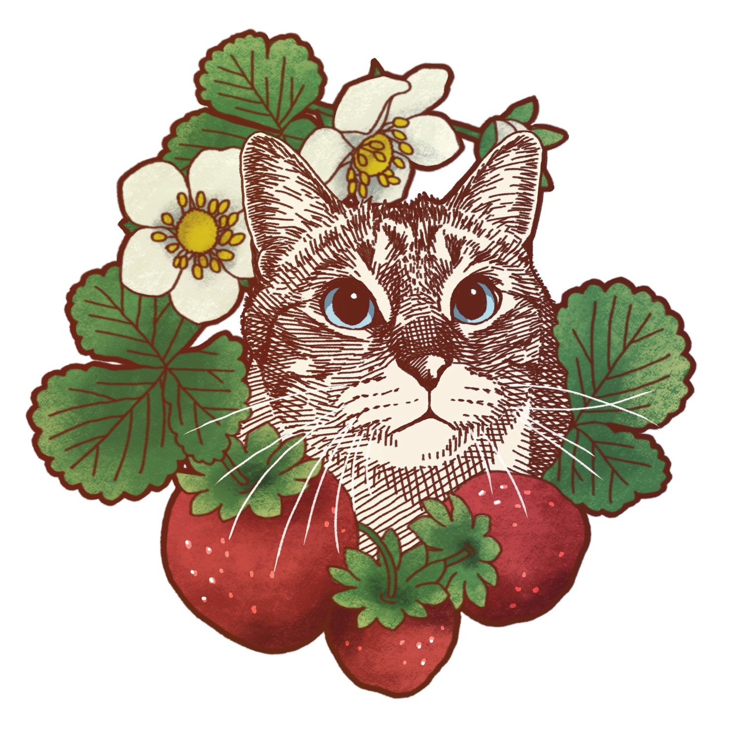 Strawberry cat 🍓