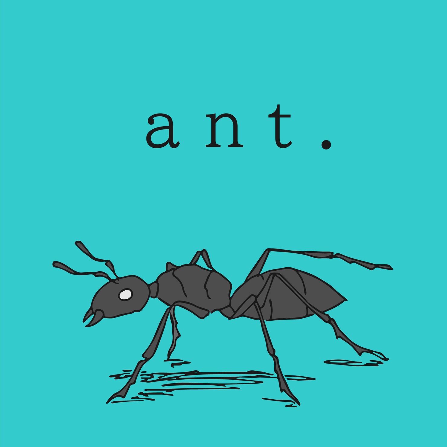 various　ant#001