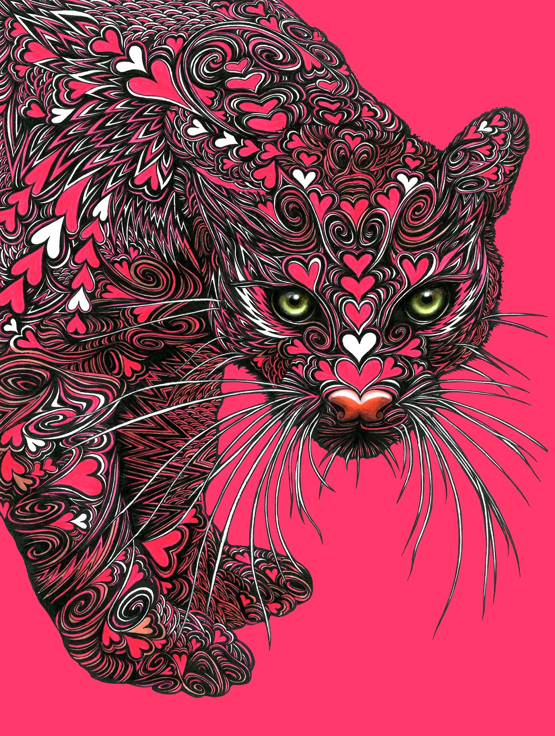 Lovely pink leopard