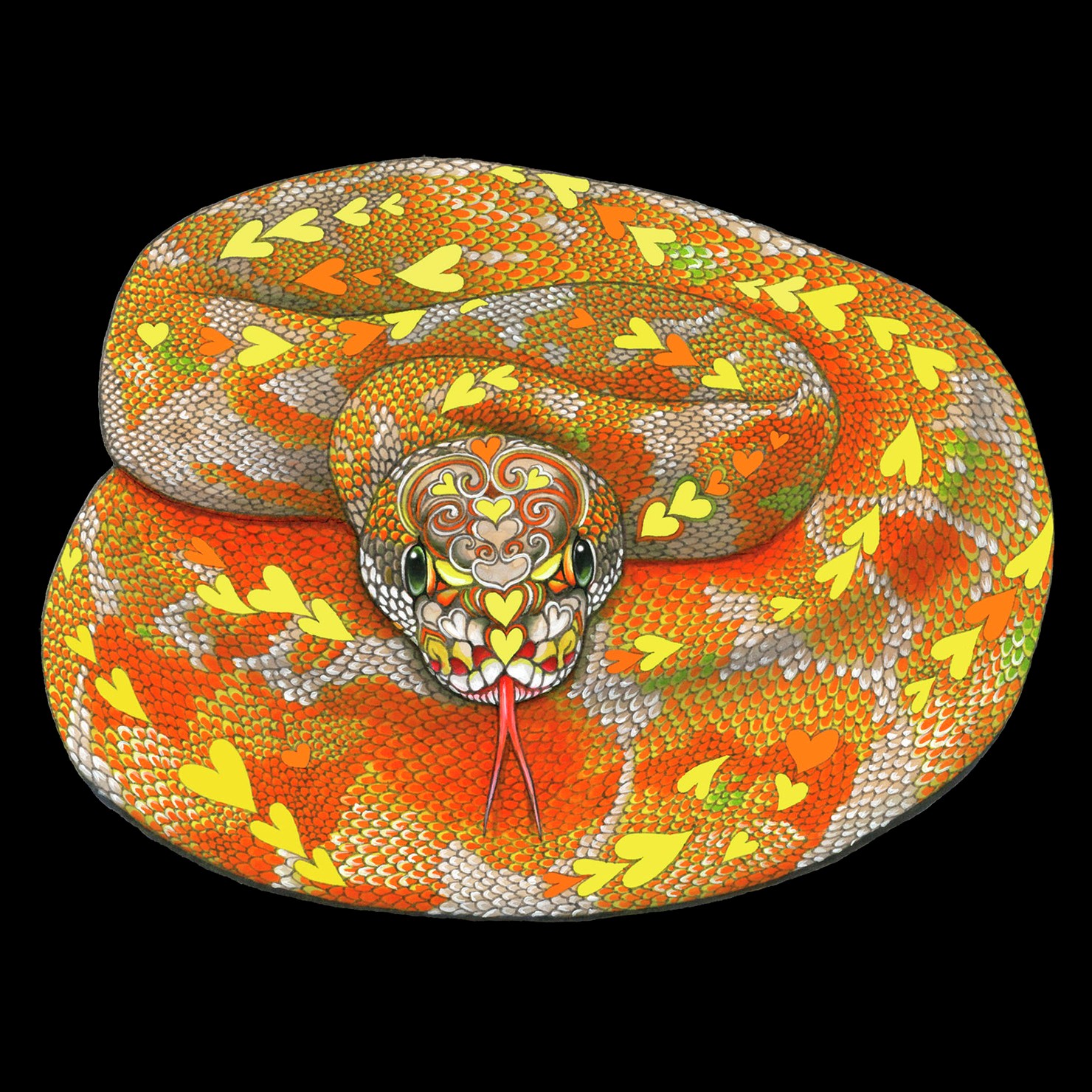 Lovely & gorgeous ball python ♡