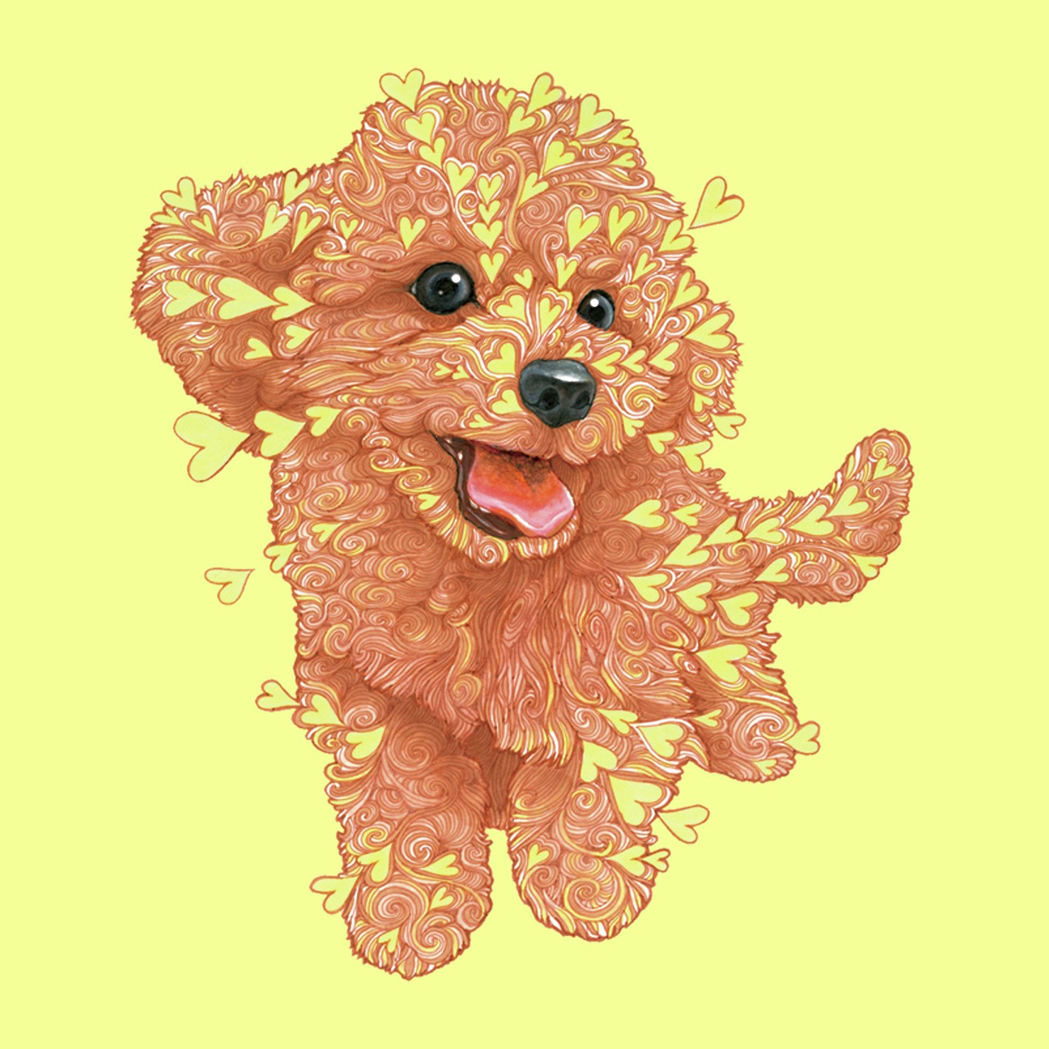 Lovely toy poodle ♡