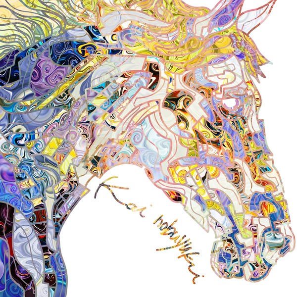 Horse × Firework × Night sky / Kai nobuyuki