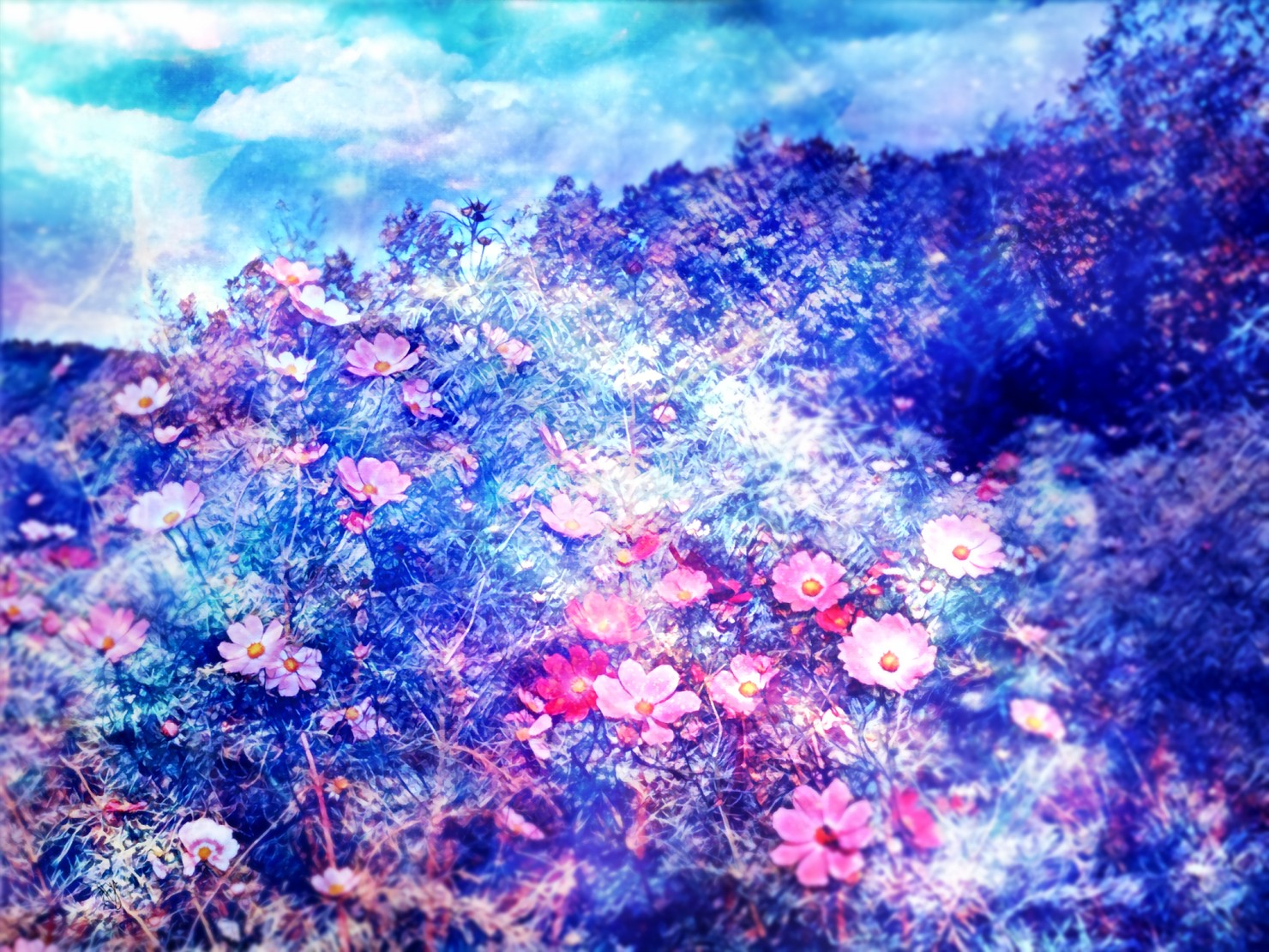 星の邂逅 #1/3