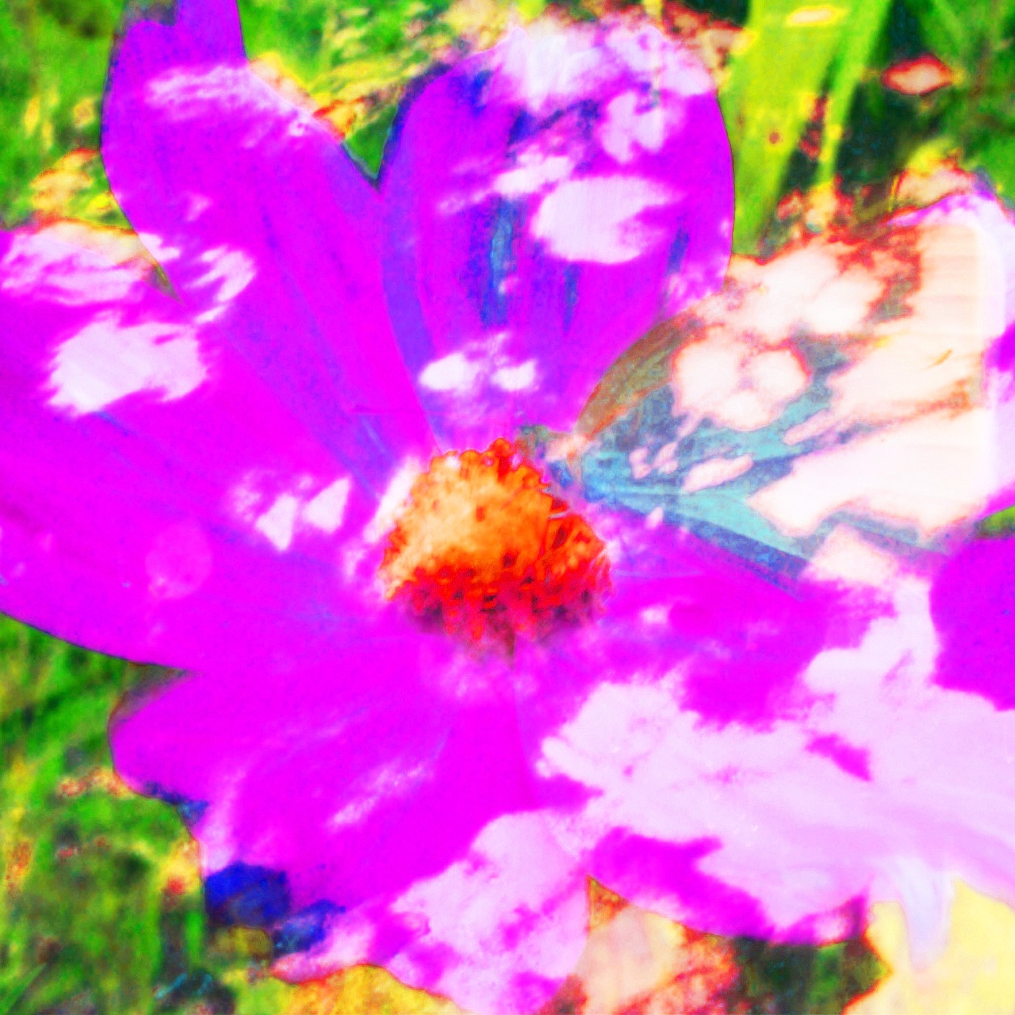 花と蝶ピンクレット 1 10 シュールハンズタナカのnft Adam Bygmo