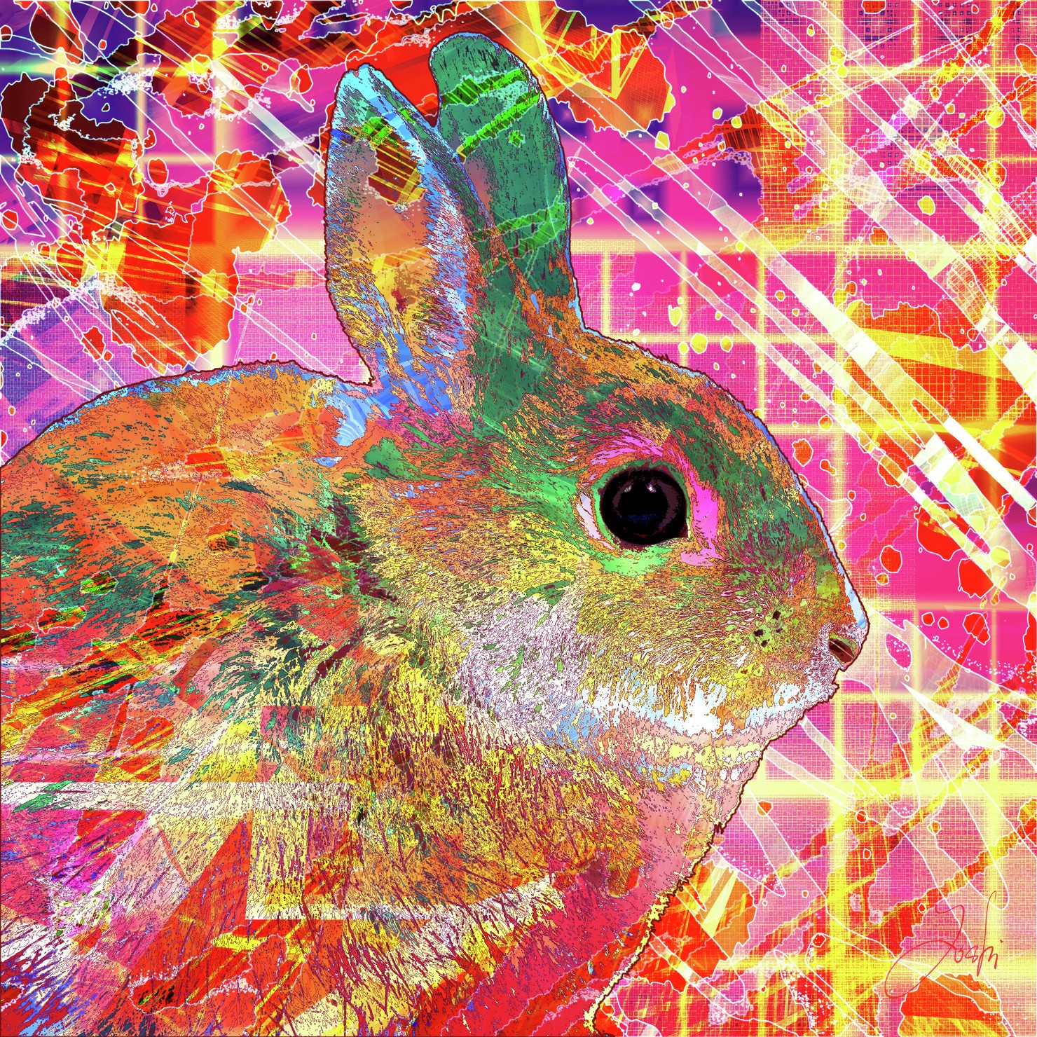 Abstract-world-015 Rabbit-maro #1/3