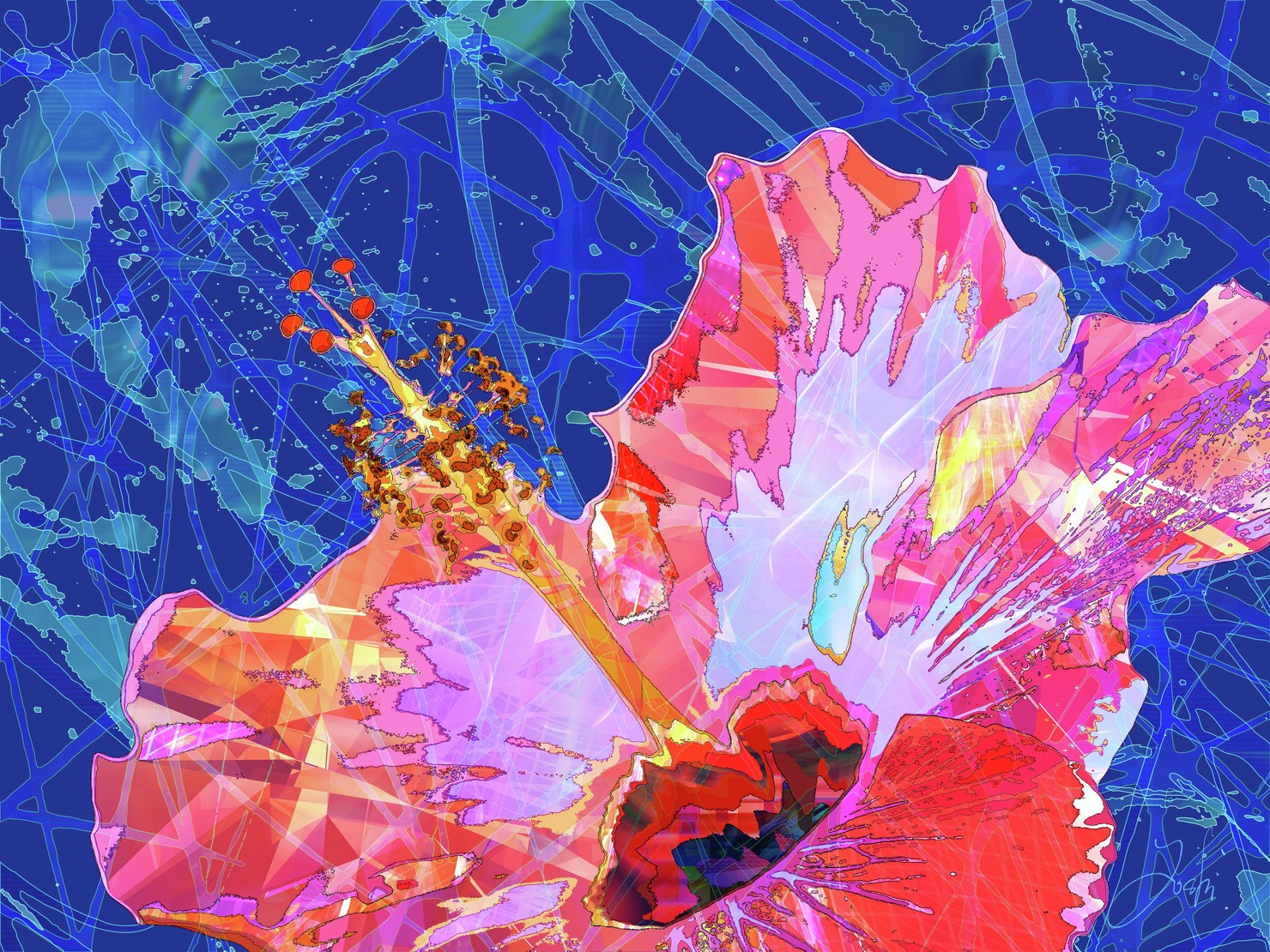 Abstract-world-024 hibiscus ハイビスカス-2 #2/3