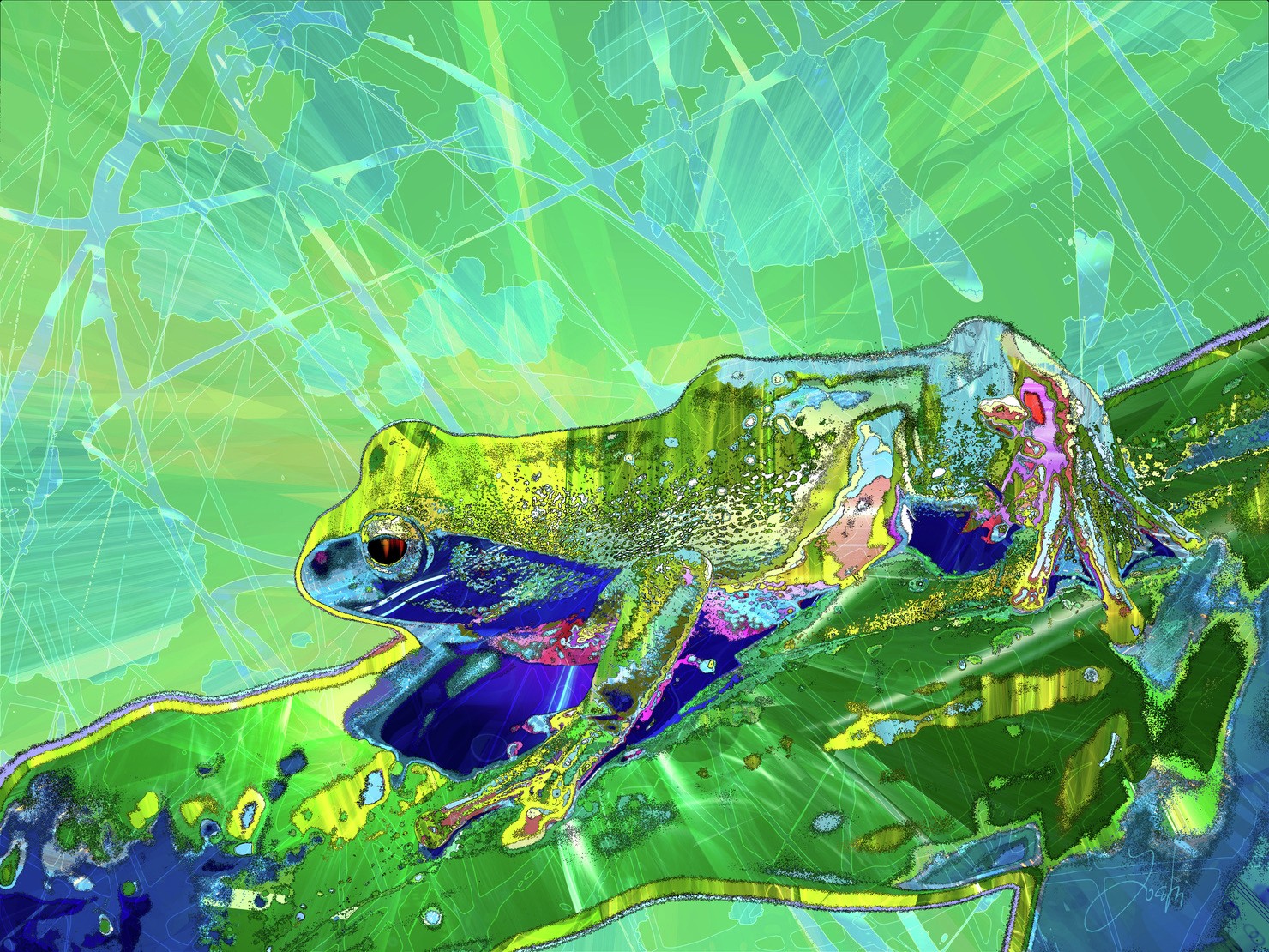 Abstract-world-025 frog カエル #1/3