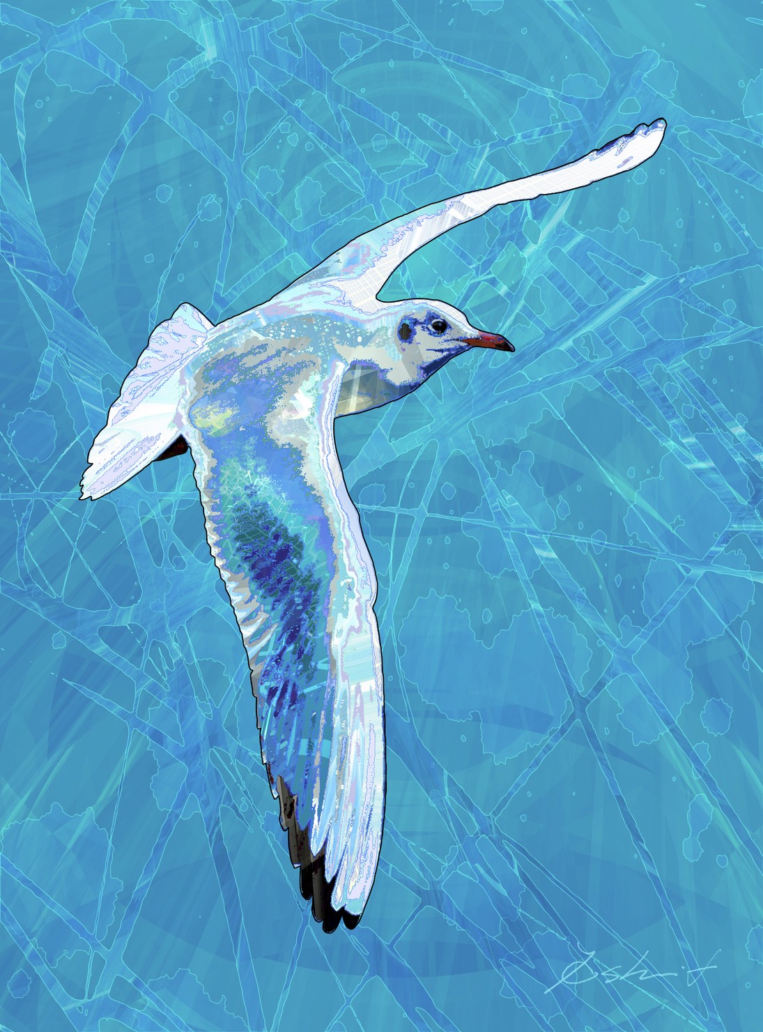 Abstract-world-039 black-headed gull ユリカモメ #1/3