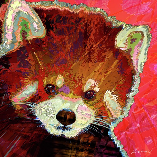 Abstract-world-042 red panda レッサーパンダ #1/3