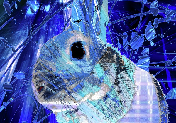 Abstract-world-070 ウサギ　Rabbit blue #1/3