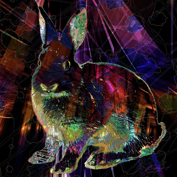 Abstract-world-074 黒うさぎ Rabbit AMO #1/3
