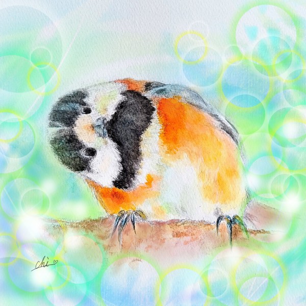 Cute！Ⅱ #5/5
