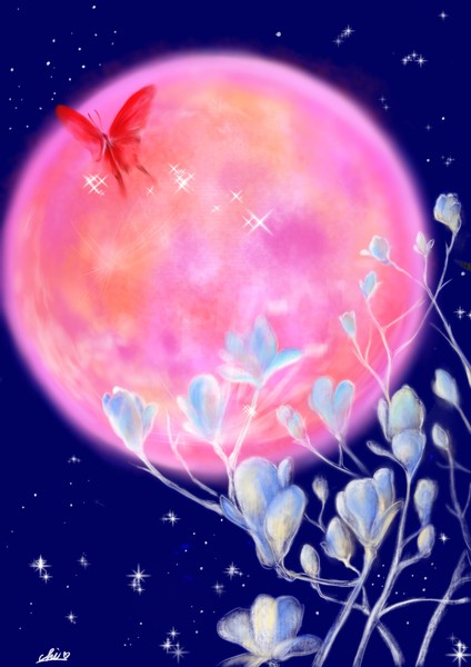 enchanting pink moon #1/3