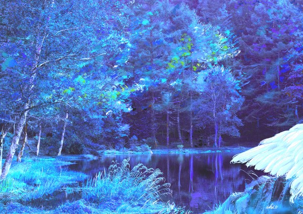 I'm here again Ⅱ-blue #1/5