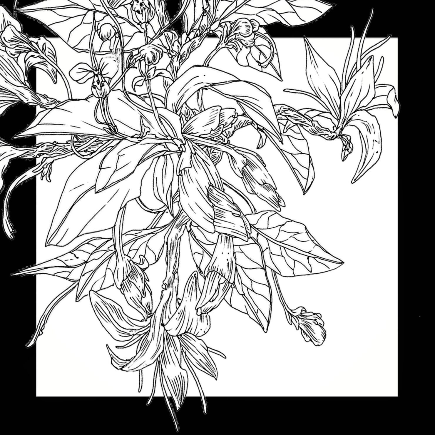 菱片/左下