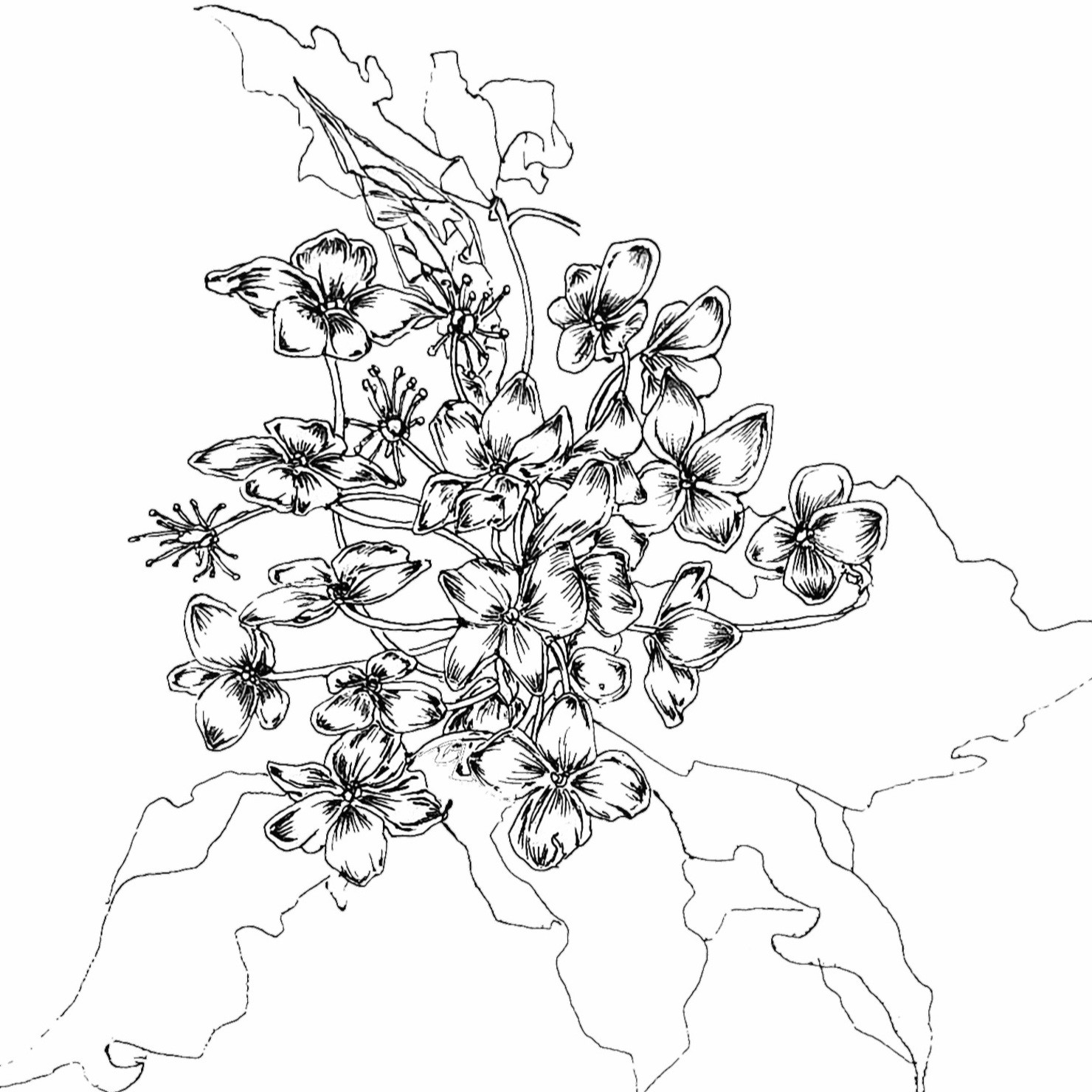 半端