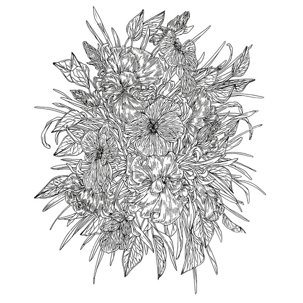 三色菫/花火