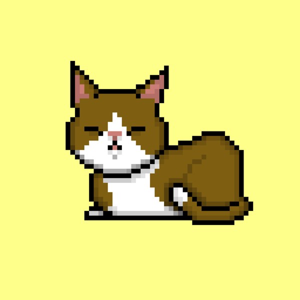 プチリアネコ　香箱