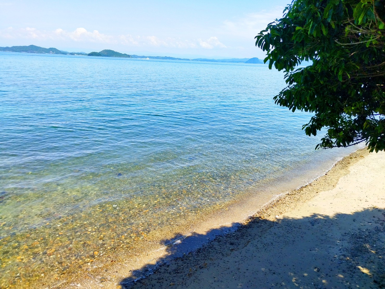 多職作家ユウトモ 絵本 イラスト アーティスト カメラマン のnft Adam Bygmo