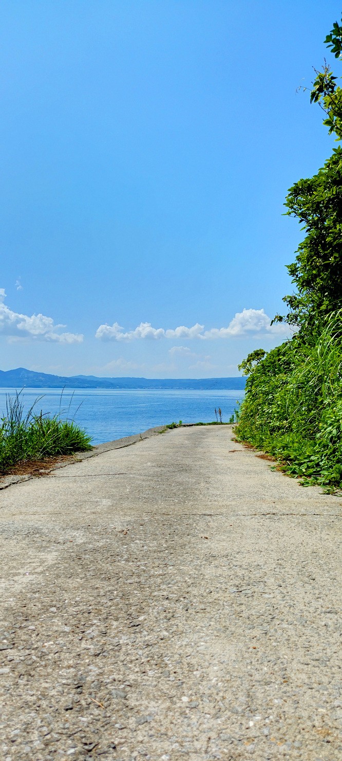 多職作家ユウトモ 絵本 イラスト アーティスト カメラマン のnft Adam Bygmo