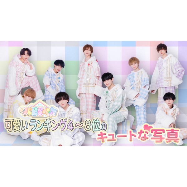 パピプペット 「誰が一番可愛いか」調査！4位～8位の写真 #1112/2000