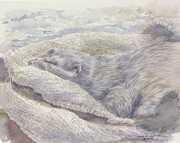 癒しの肖像画＿コツメカワウソ