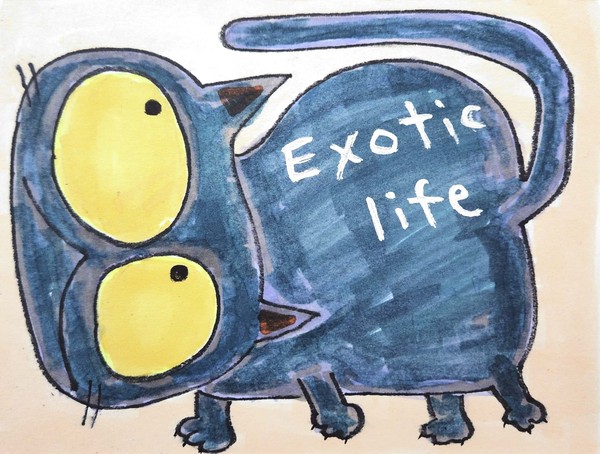 Exotic life 