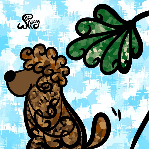 poodle