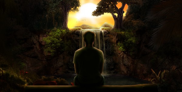 Jungle Journey