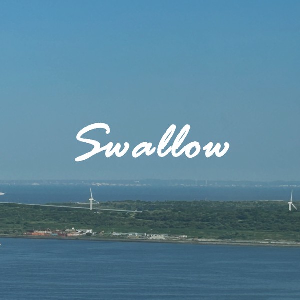 Swallow