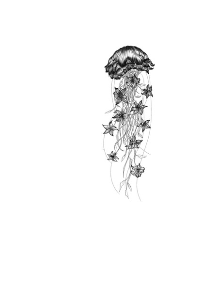 花海月No.1