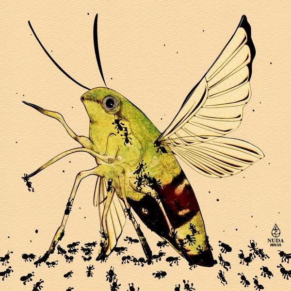 illustration271 #1/10