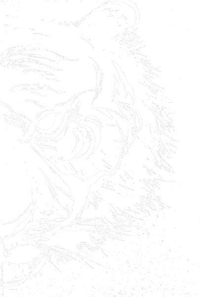 ホワイトタイガー