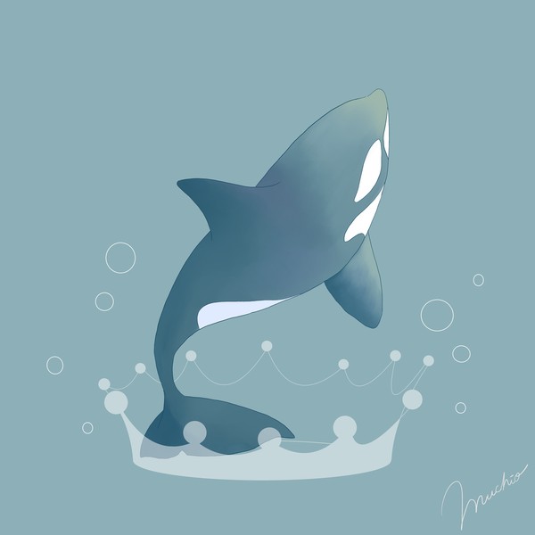 シャチ